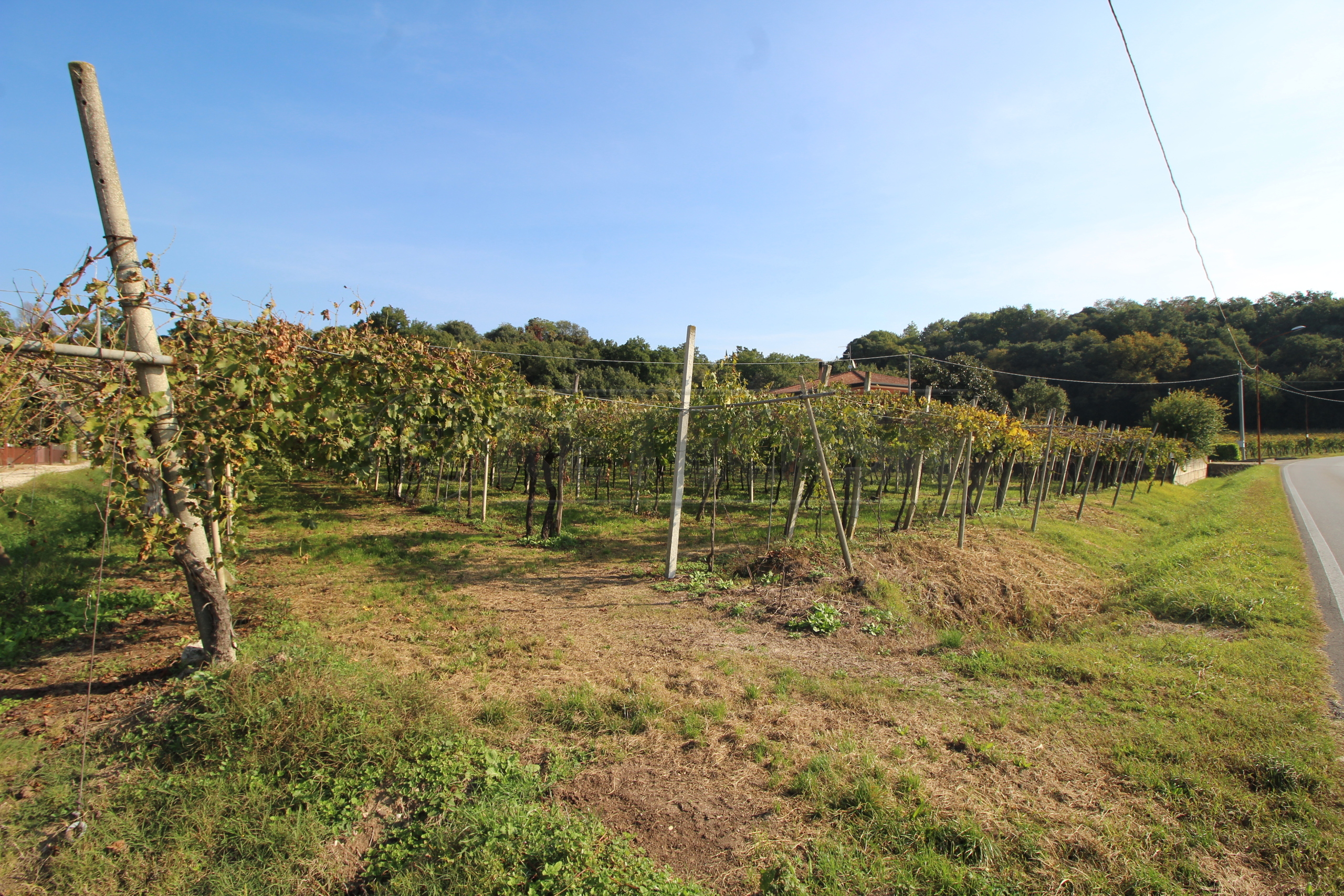 Immagine 3 di Terreno edificabile in vendita  in Via Calderina 8 a Gambellara
