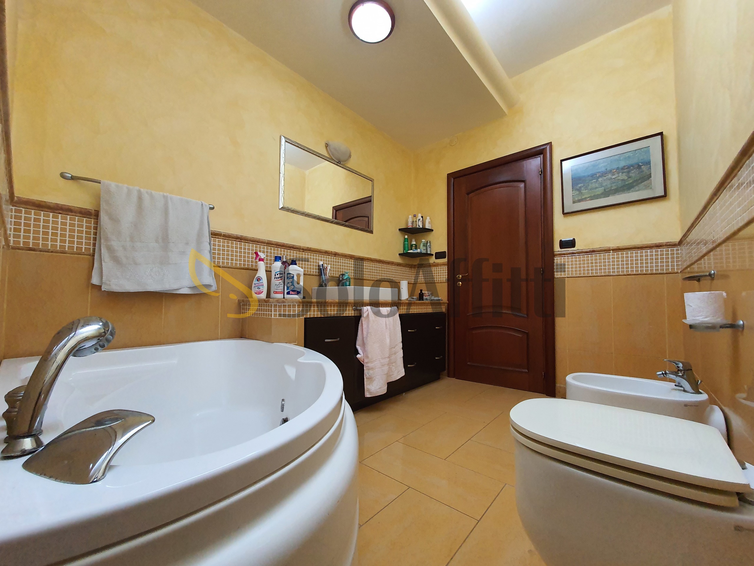 Immagine 12 di Trilocale in affitto  a Catanzaro