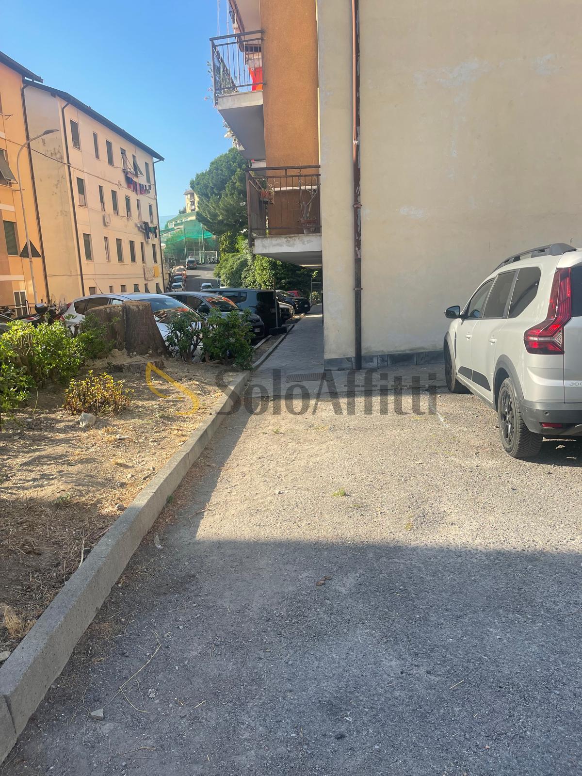 Foto annuncio 19