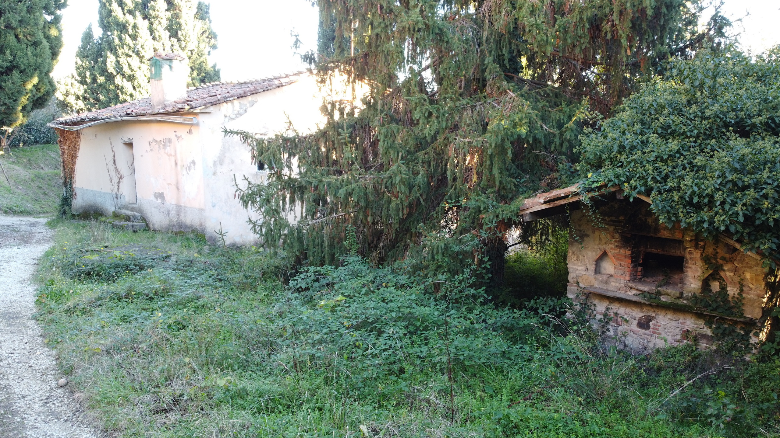 Foto annuncio 26