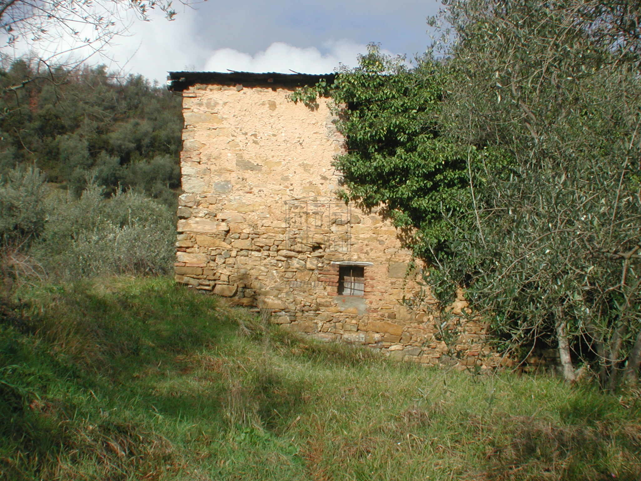 Foto annuncio 19