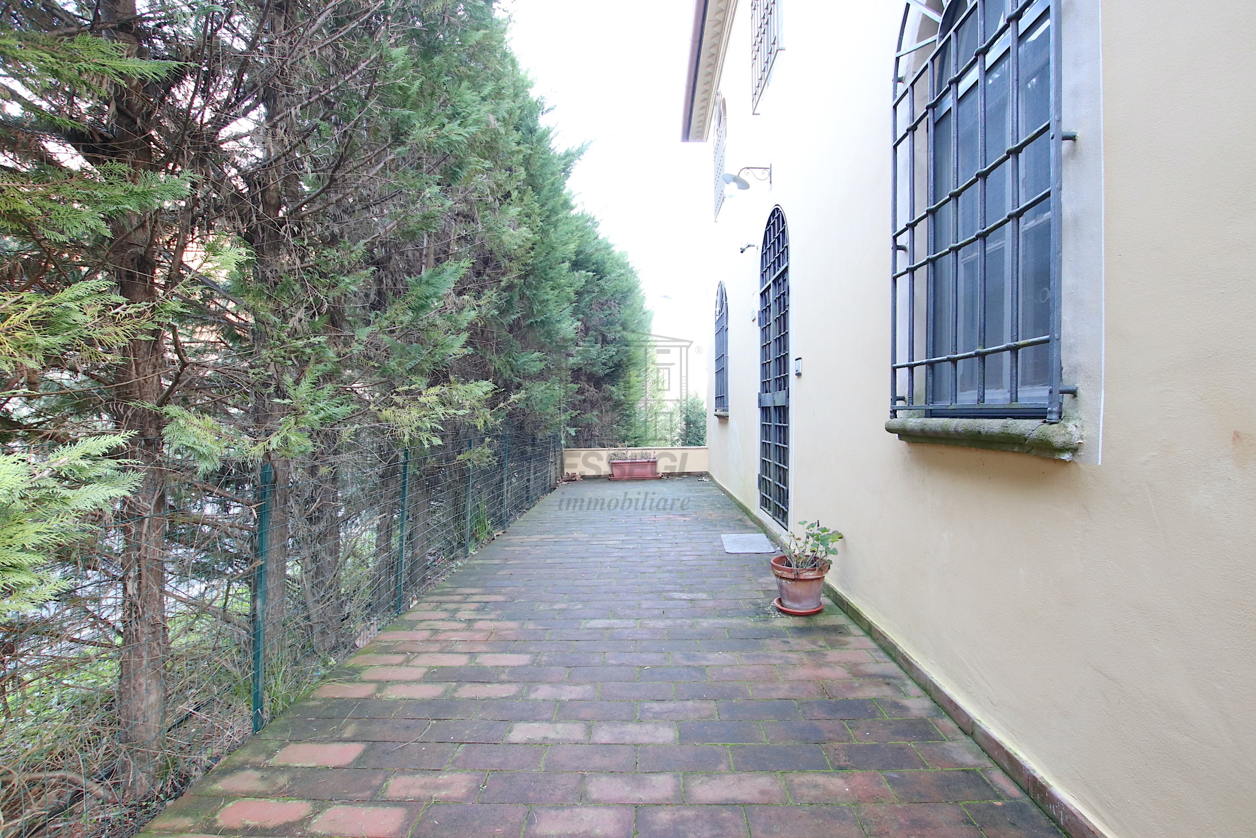 Foto annuncio 6