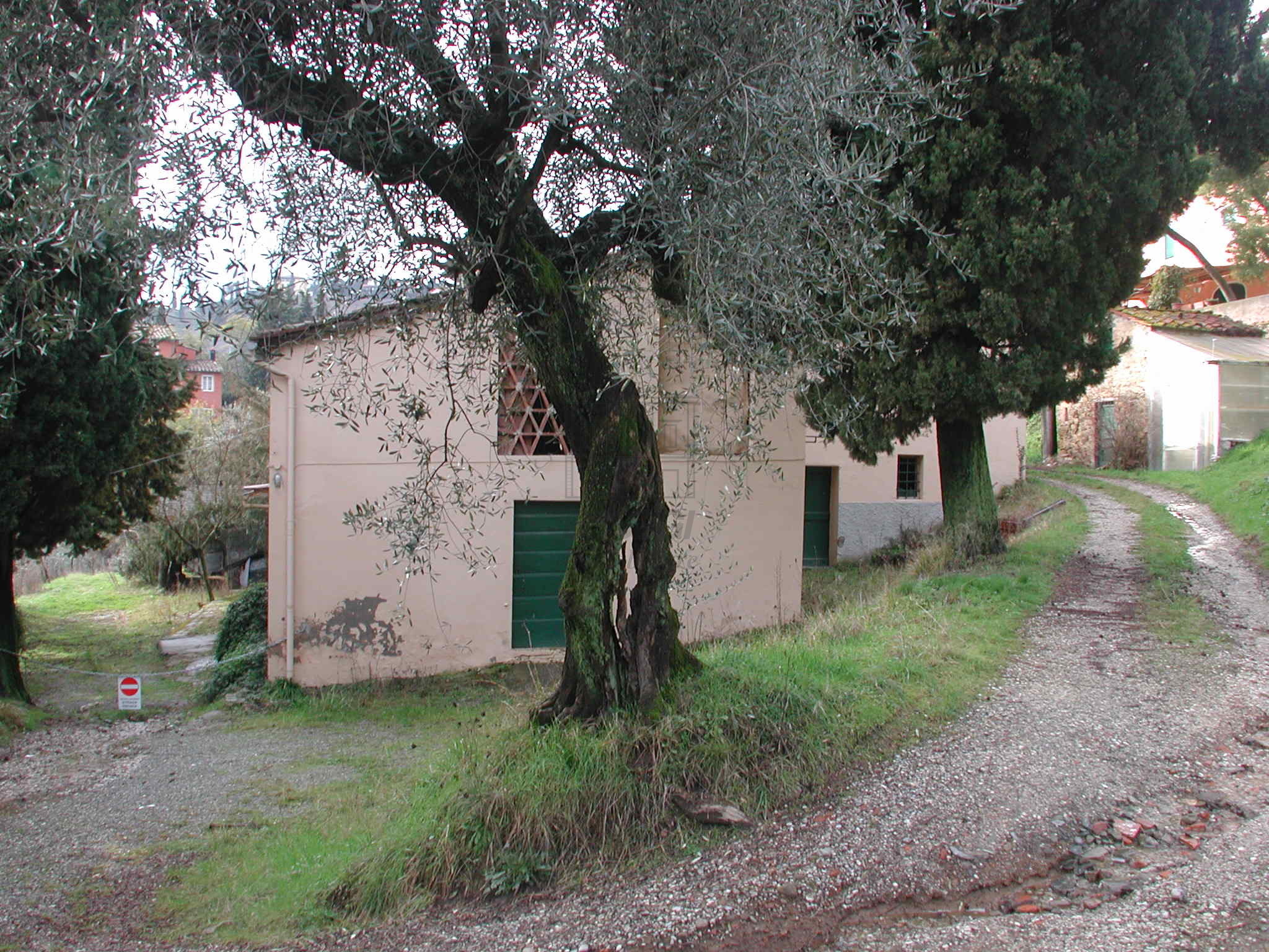 Foto annuncio 12