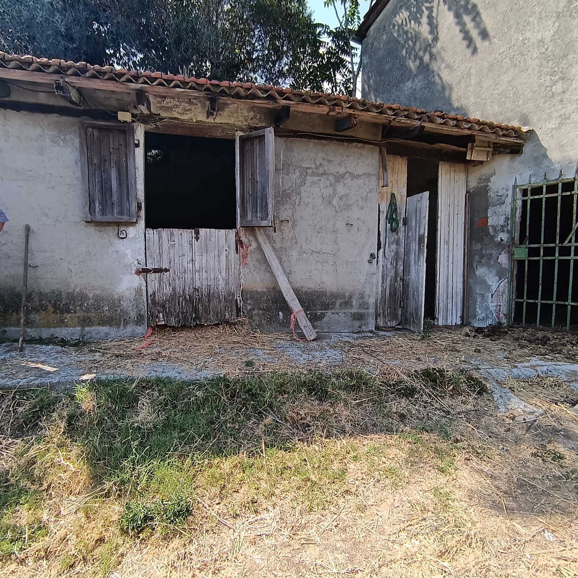 Immagine 17 di Rustico / casale in vendita  a Castelnuovo Magra