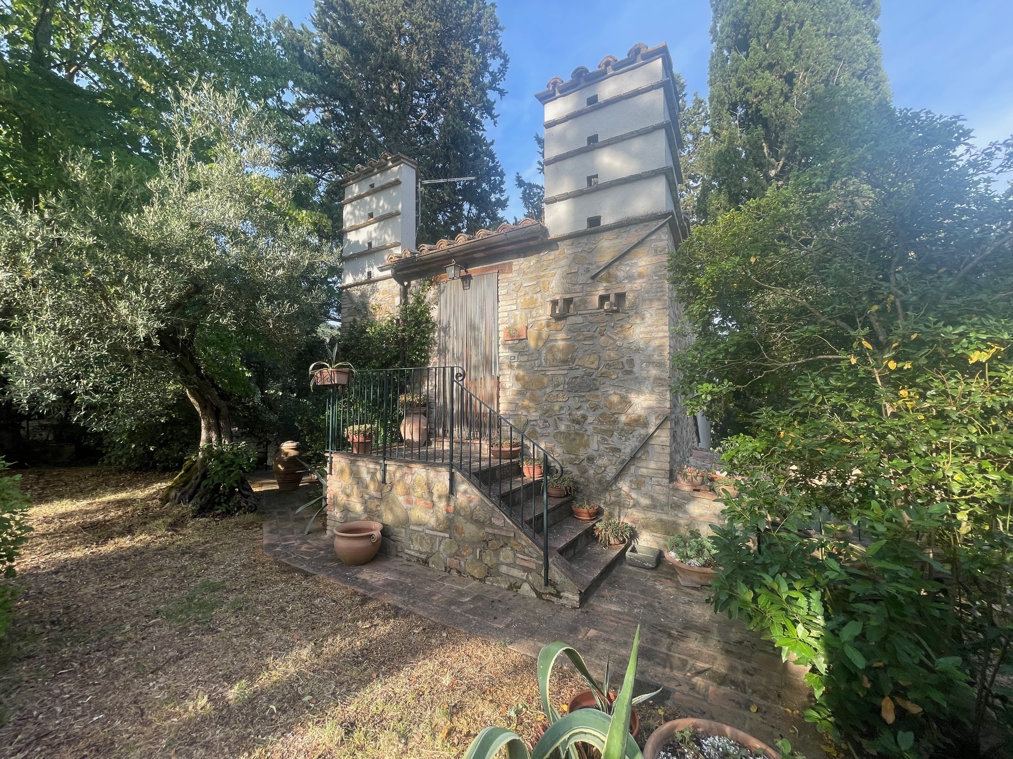Foto annuncio 5