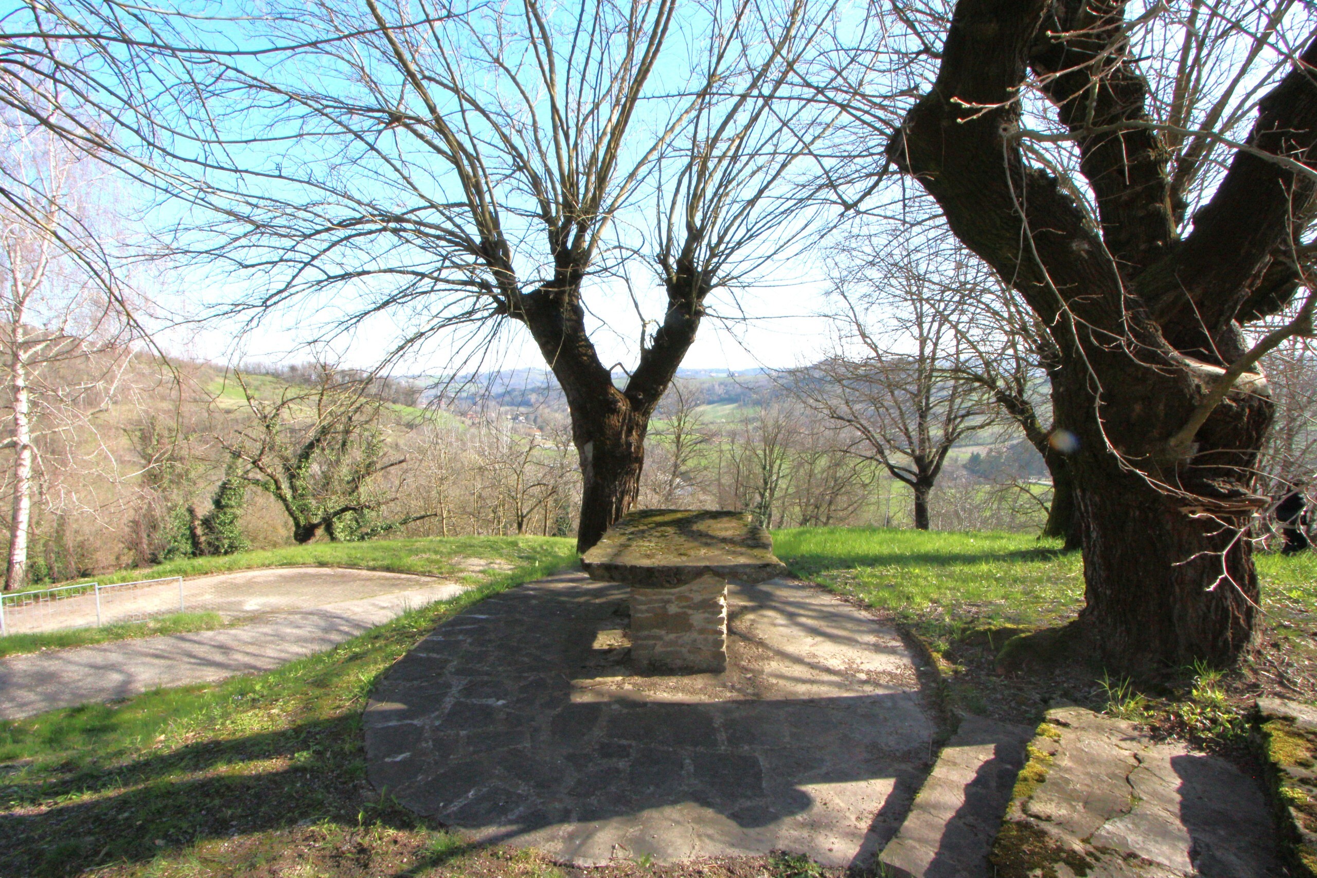 Foto annuncio 34