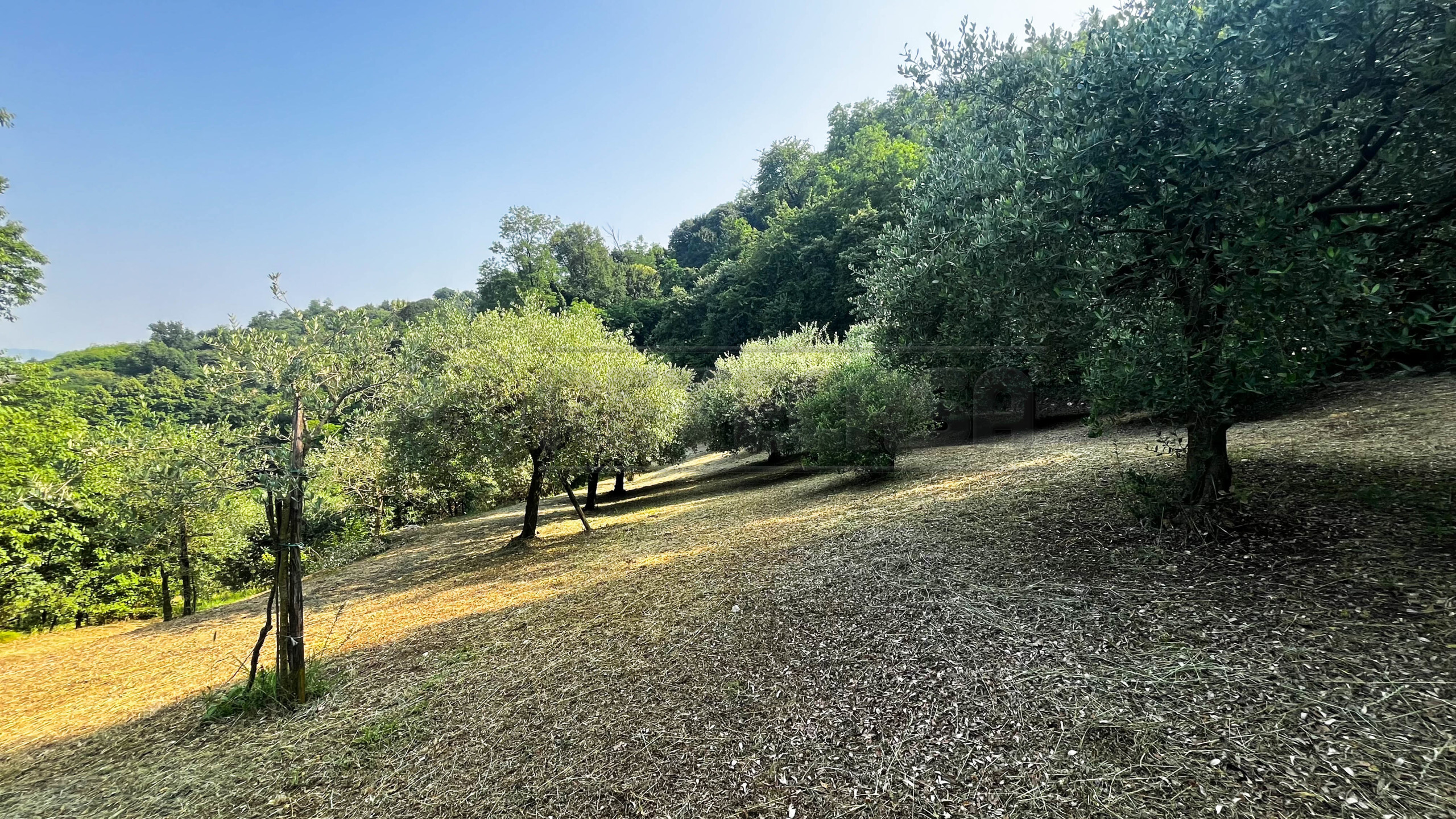 Foto annuncio 30