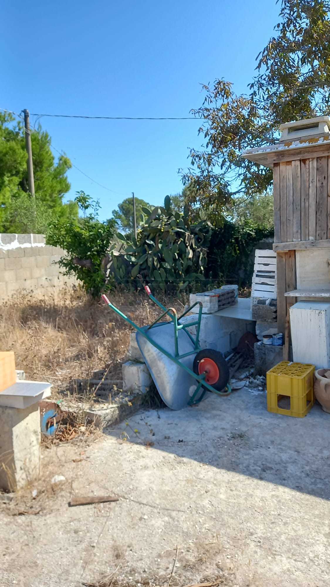 Immagine 8 di Terreno agricolo in vendita  a Maglie