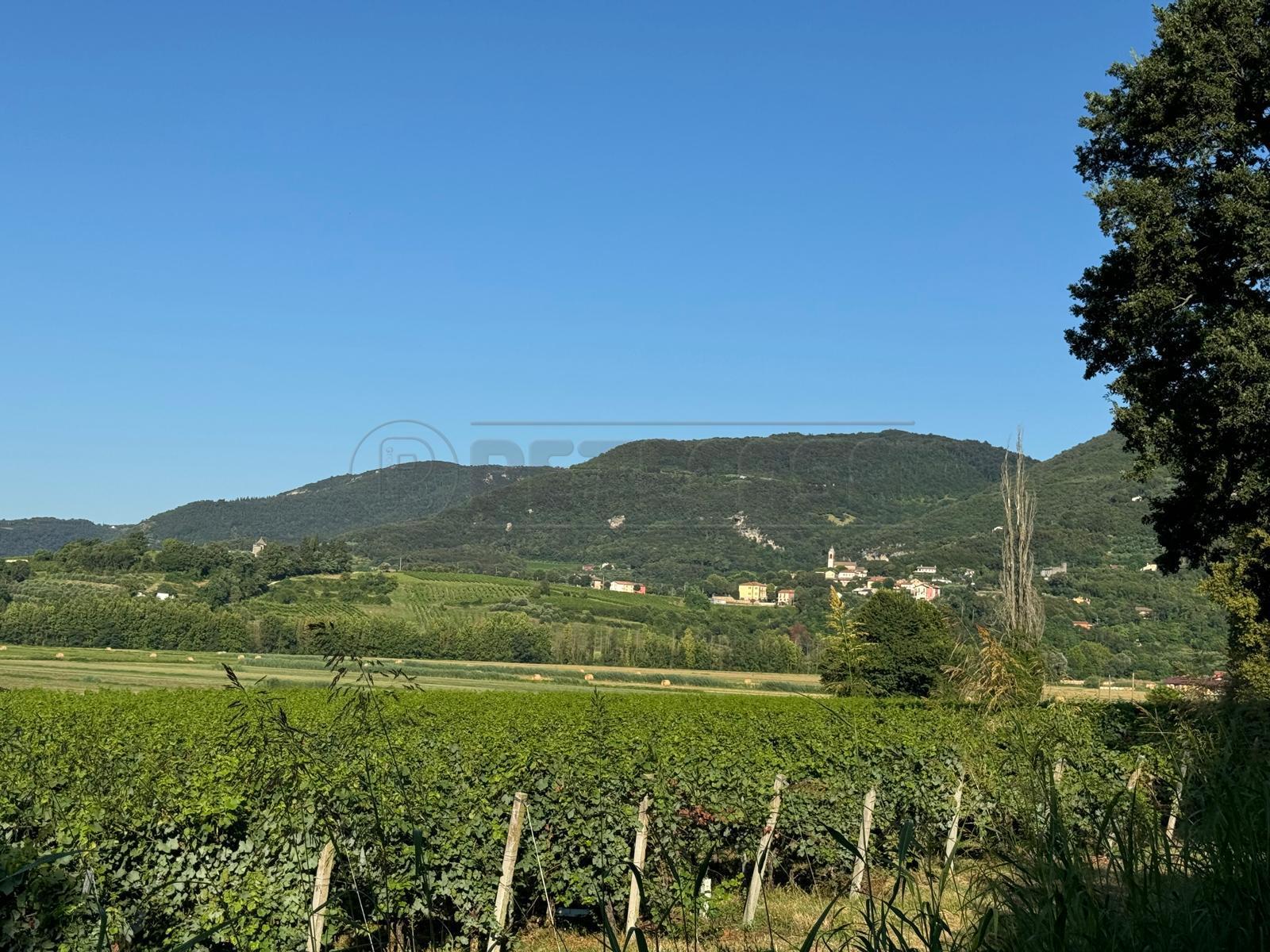 Immagine 11 di Terreno edificabile in vendita  in Via Giuseppe Garibladi a Barbarano Mossano