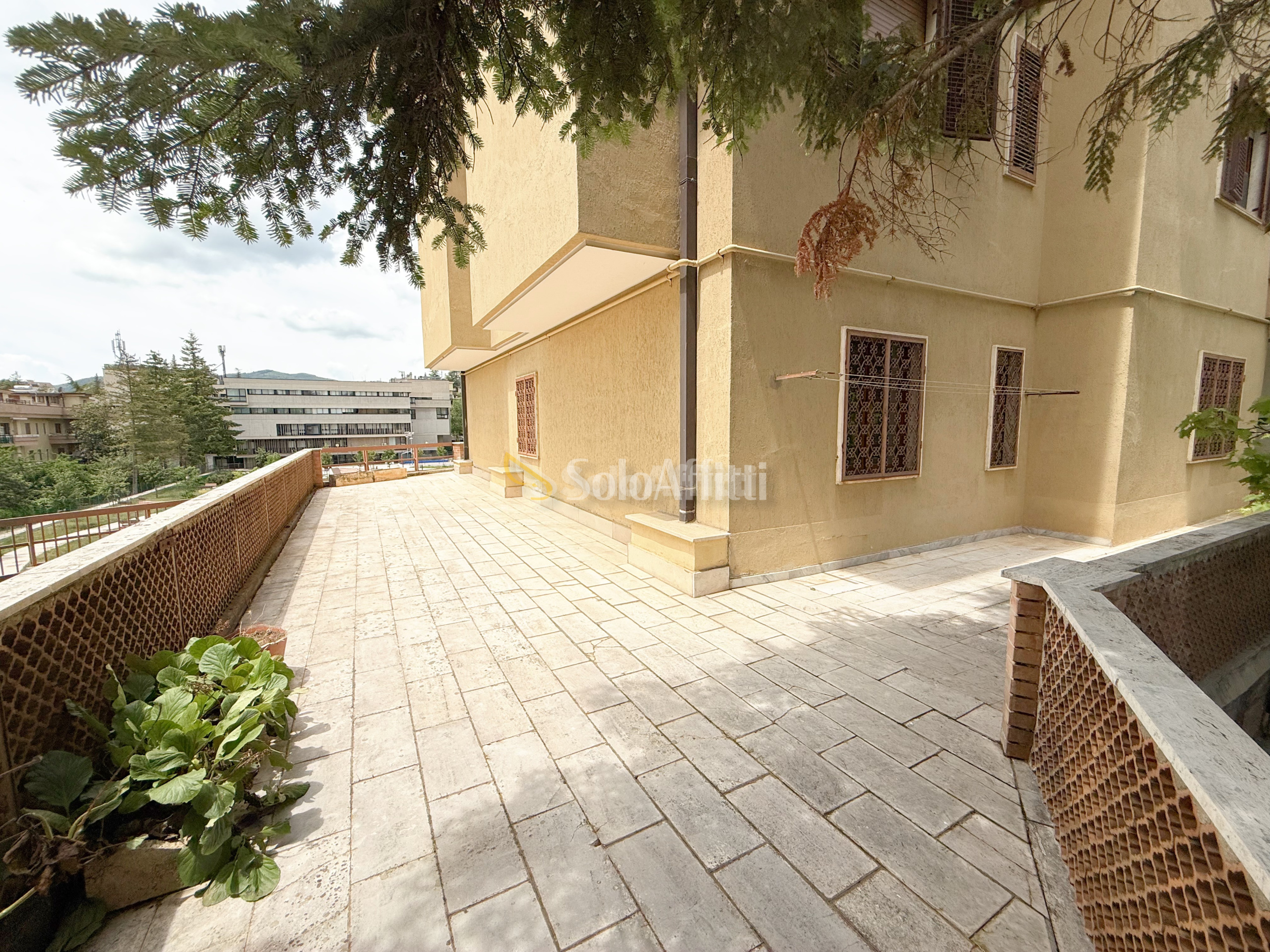 Immagine 1 di Appartamento in affitto  in Via Domenico di Giura a Potenza