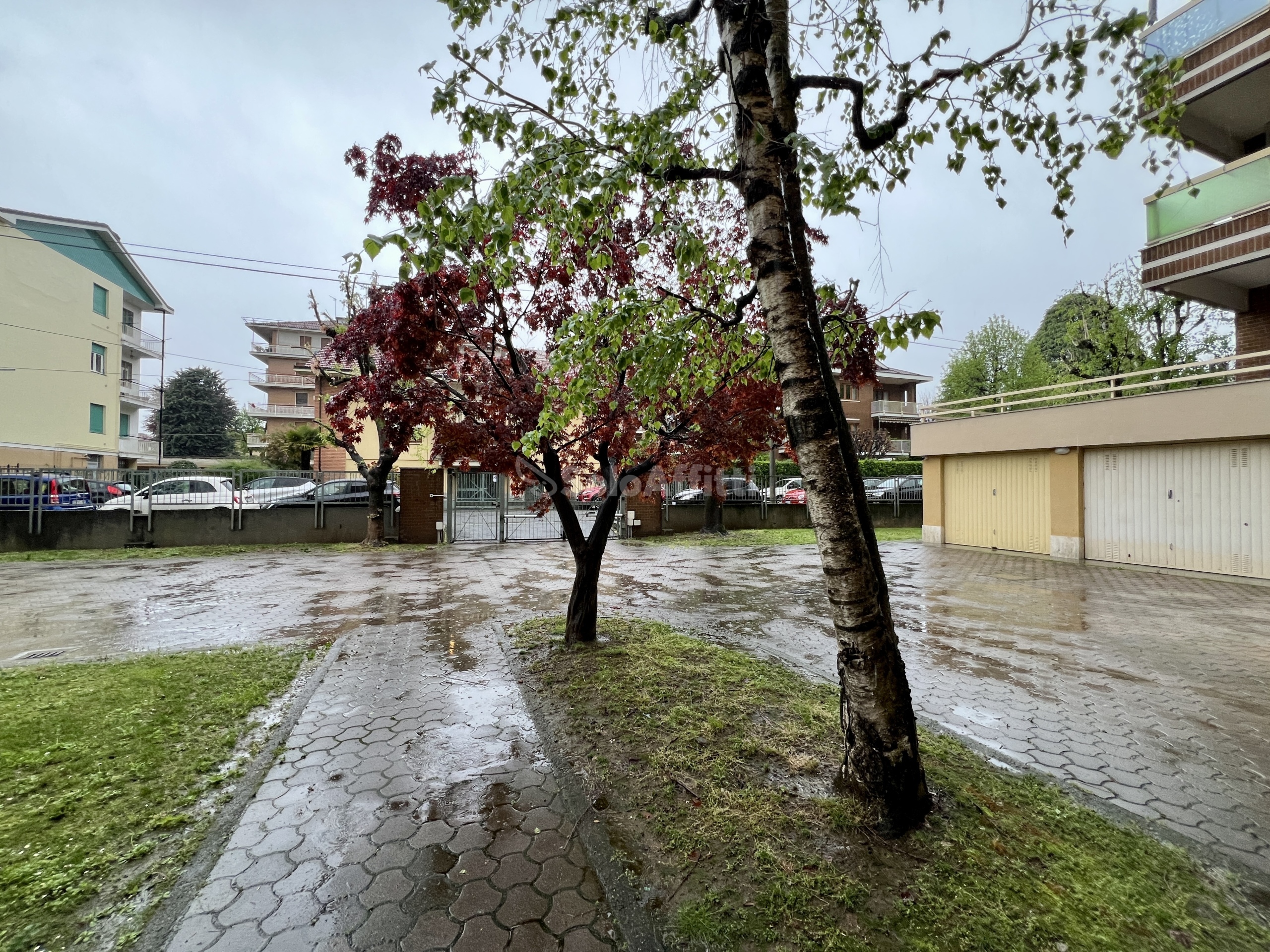 Immagine 39 di Quadrilocale in affitto  in Via Buratto 7 a Ciriè
