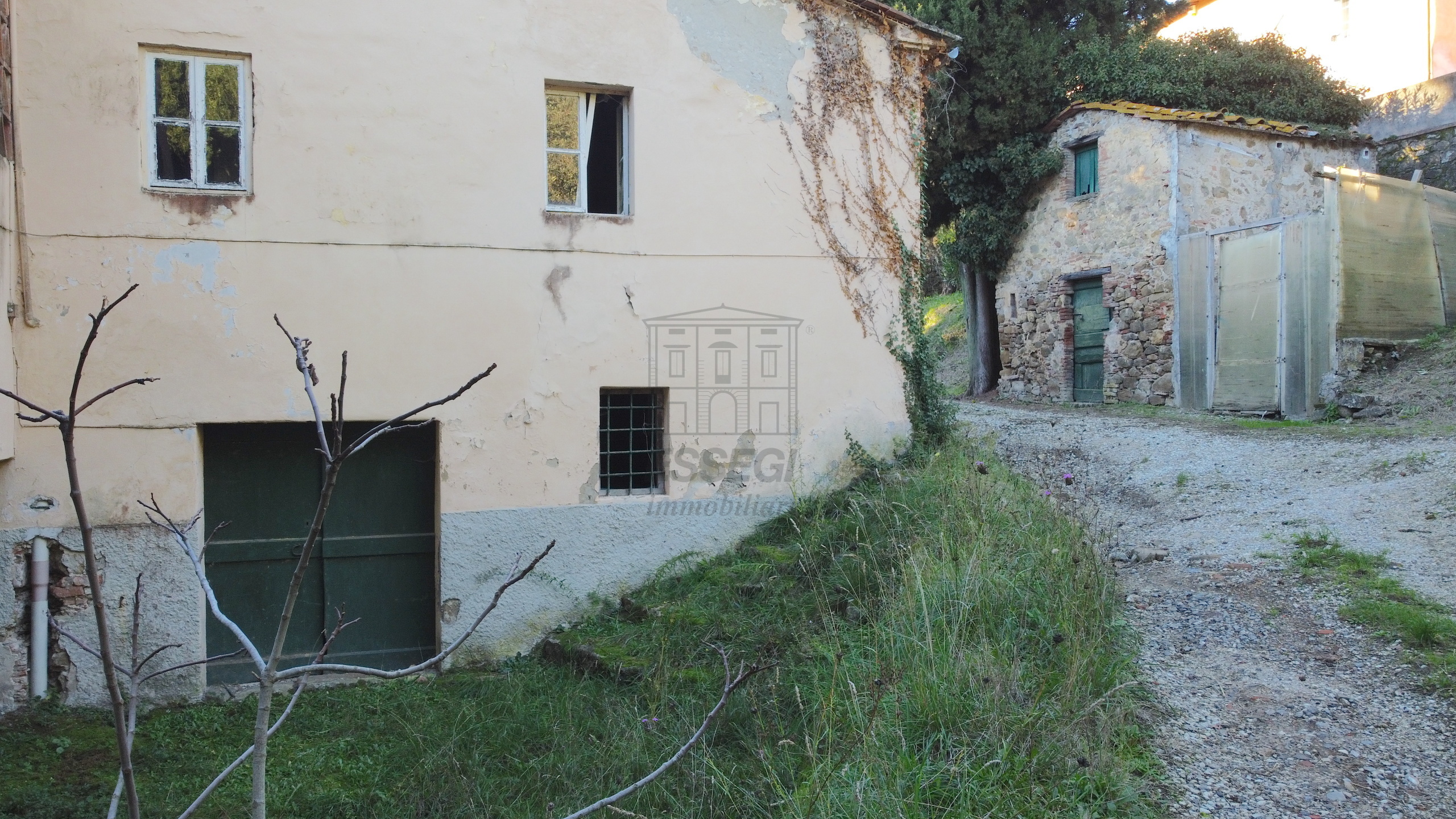 Foto annuncio 5
