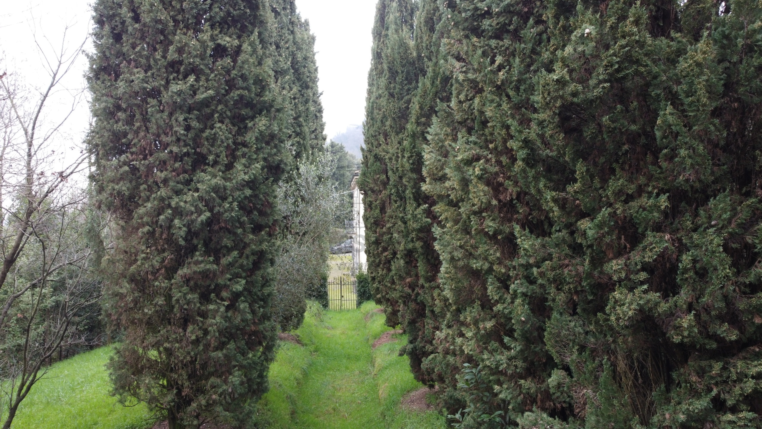 Foto annuncio 4