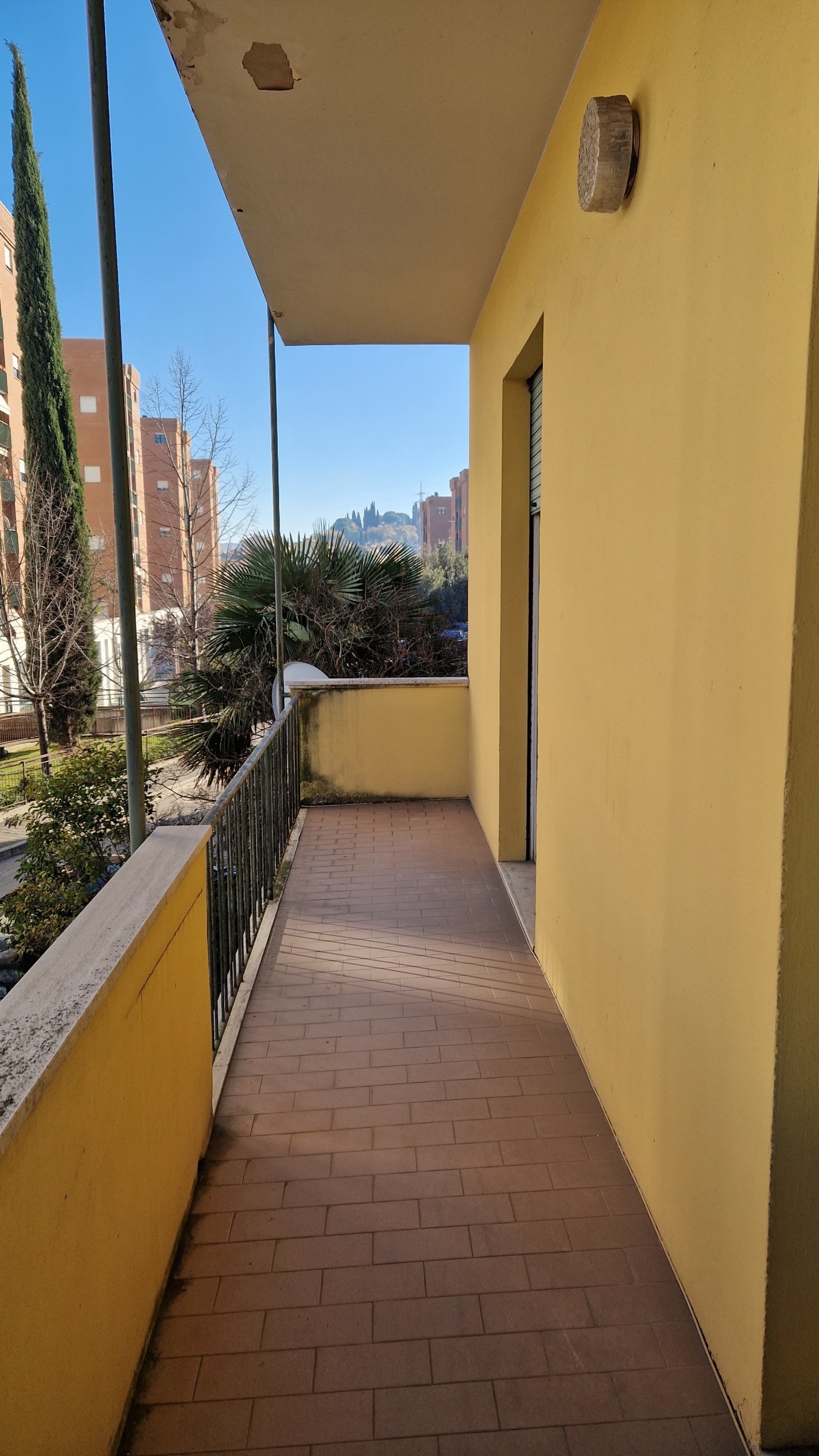 Foto annuncio 3