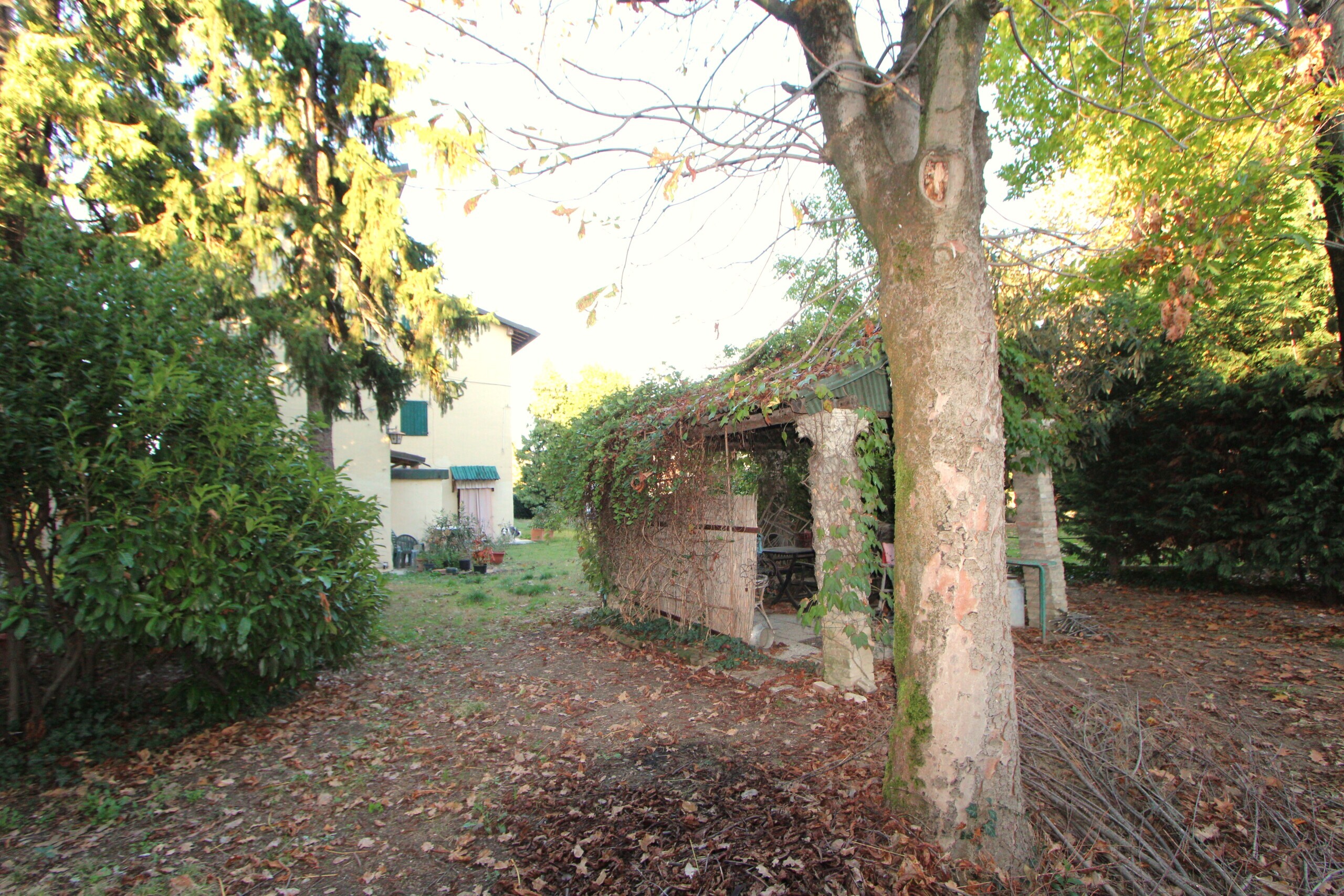 Foto annuncio 3