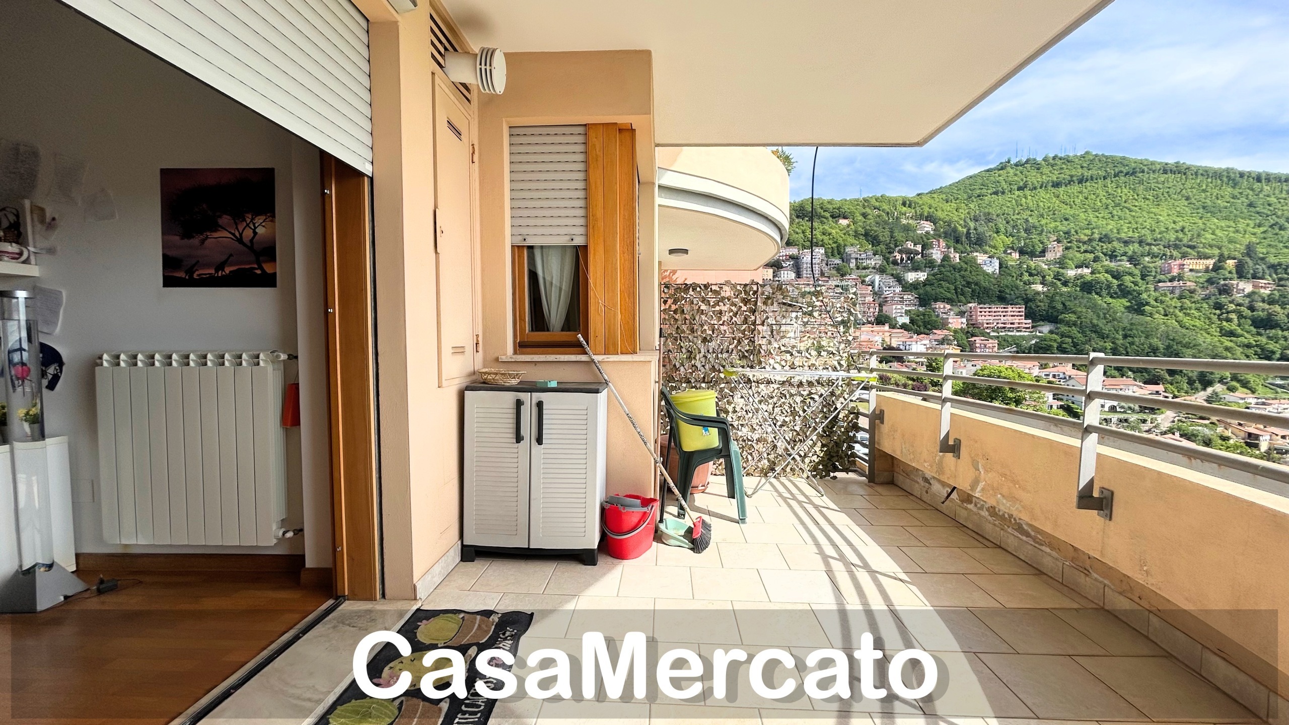 Foto annuncio 1
