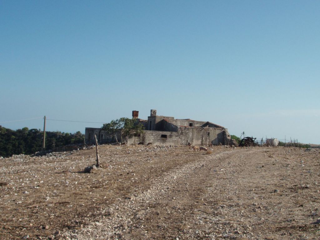 Immagine 2 di Terreno agricolo in vendita  a Mattinata