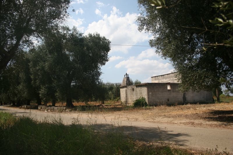 Immagine 28 di Terreno agricolo in vendita  in contrada mandrò a Cutrofiano