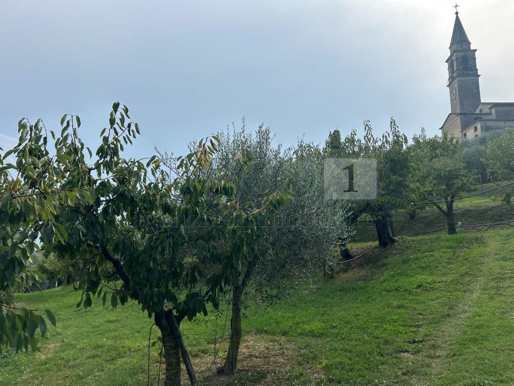 Foto annuncio 4