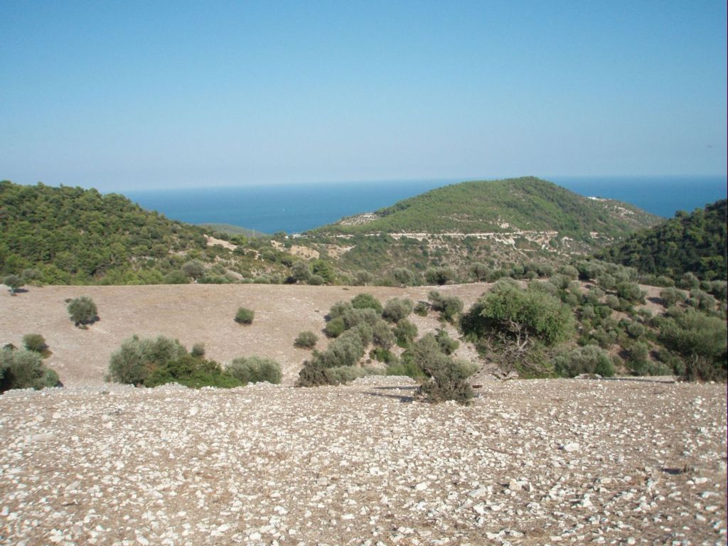 Immagine 1 di Terreno agricolo in vendita  a Mattinata