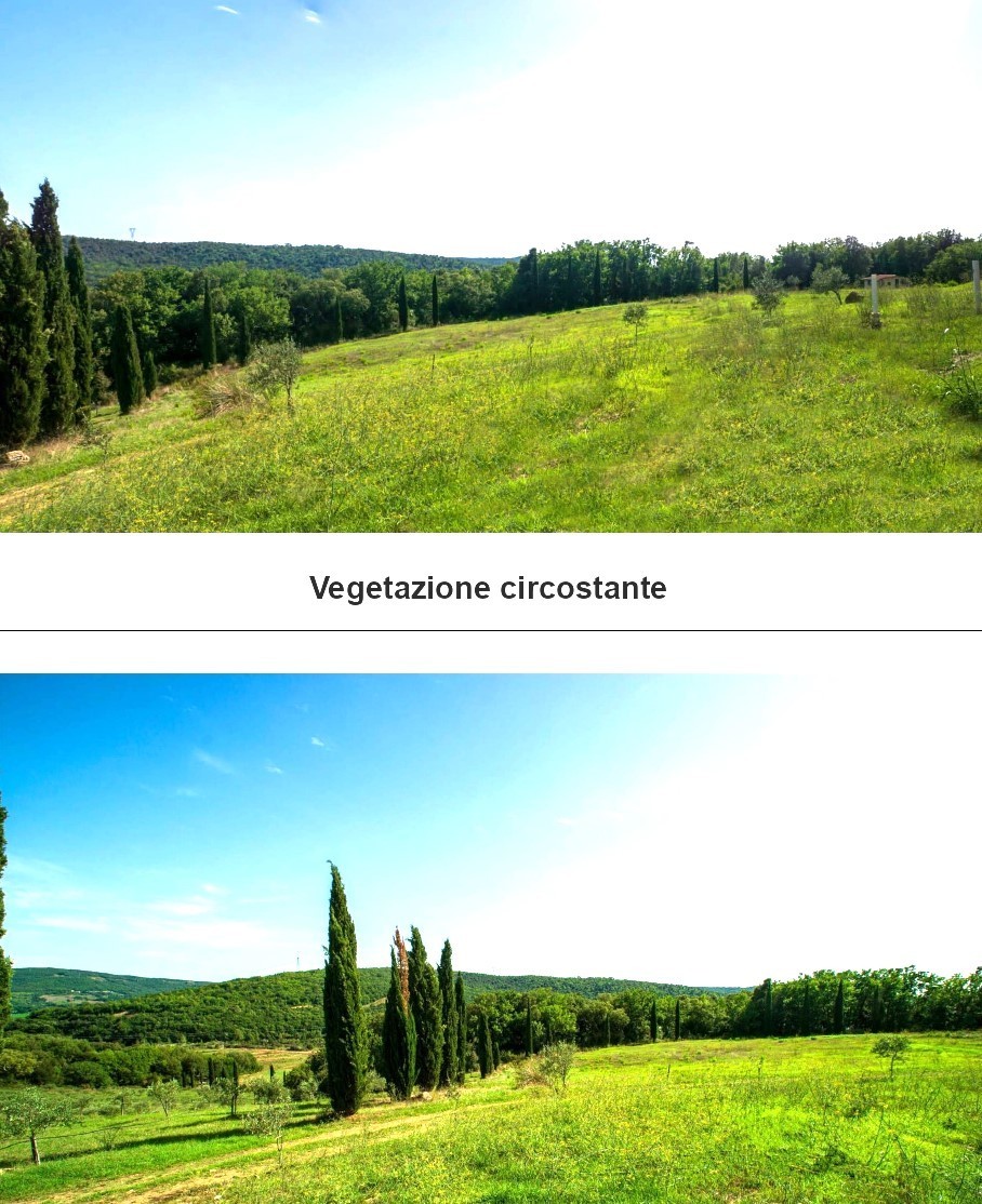 Immagine 12 di Casa vacanze in vendita  a Monterotondo Marittimo