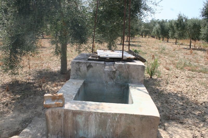 Immagine 14 di Terreno agricolo in vendita  in contrada mandrò a Cutrofiano