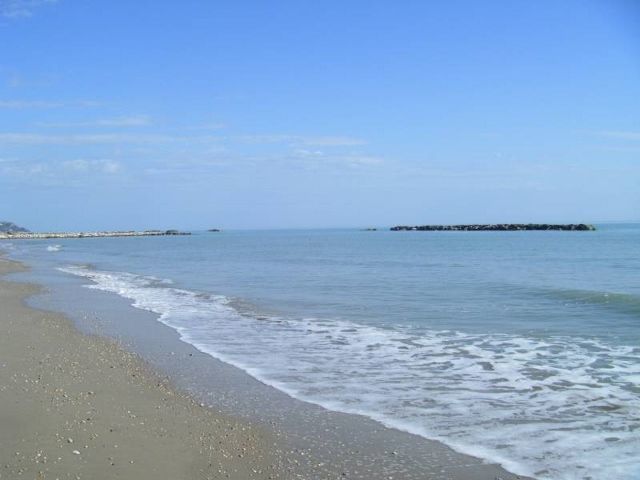 Immagine 2 di Attività commerciale in vendita  a Cupra Marittima