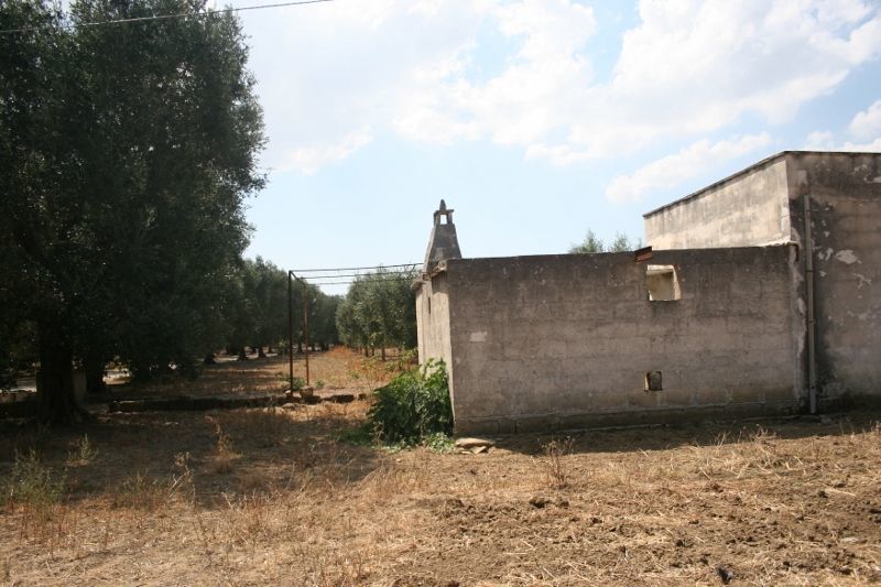Immagine 32 di Terreno agricolo in vendita  in contrada mandrò a Cutrofiano