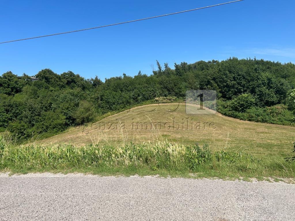 Immagine 22 di Rustico / casale in vendita  in Via Tavella 10 a Barbarano Mossano
