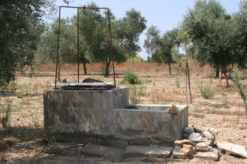 Immagine 9 di Terreno agricolo in vendita  in contrada mandrò a Cutrofiano