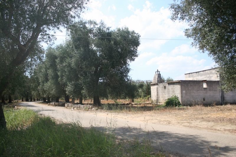 Immagine 30 di Terreno agricolo in vendita  in contrada mandrò a Cutrofiano