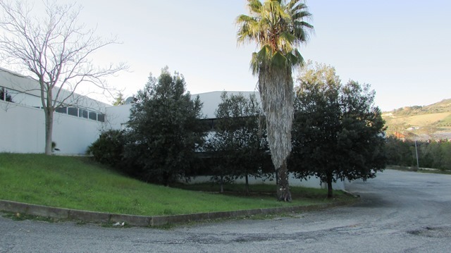 Immagine 25 di Capannone industriale in affitto  in Via Leonardo Da Vinci a San Benedetto Del Tronto