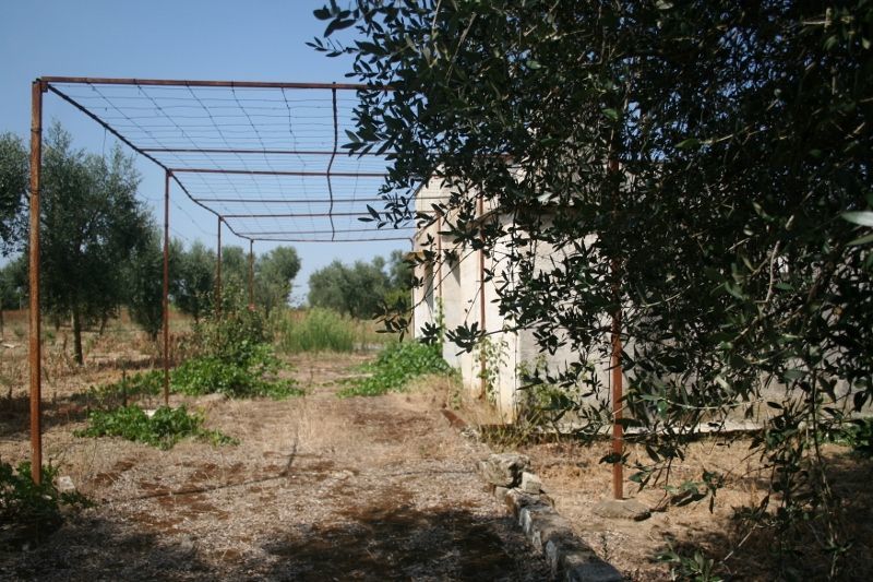 Immagine 3 di Terreno agricolo in vendita  in contrada mandrò a Cutrofiano