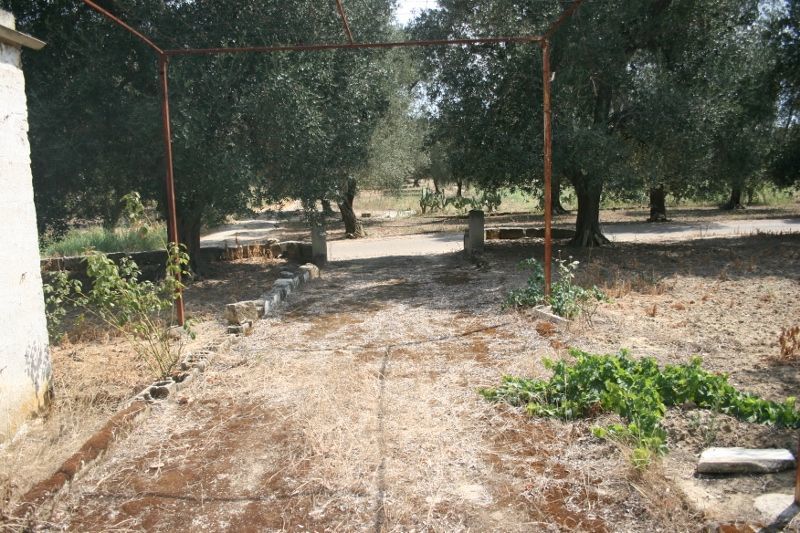 Immagine 40 di Terreno agricolo in vendita  in contrada mandrò a Cutrofiano
