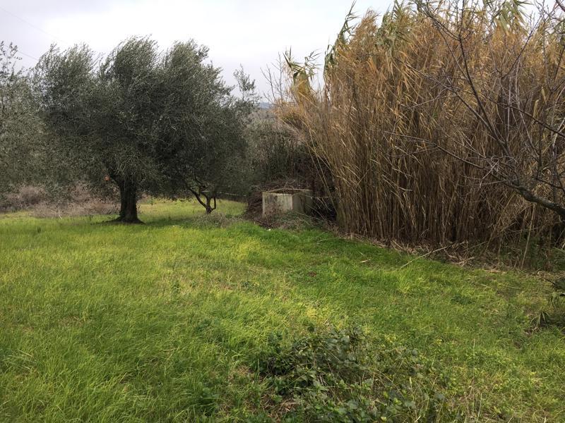 Immagine 6 di Terreno edificabile in vendita  in Vicolo Matteotti Secondo a Monteprandone