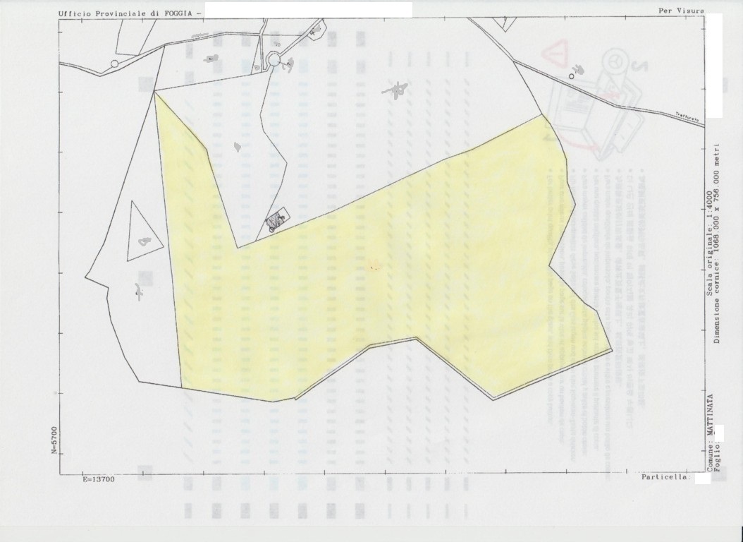 Immagine 24 di Terreno agricolo in vendita  a Mattinata