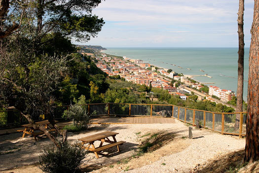 Immagine 4 di Attività commerciale in vendita  a Cupra Marittima