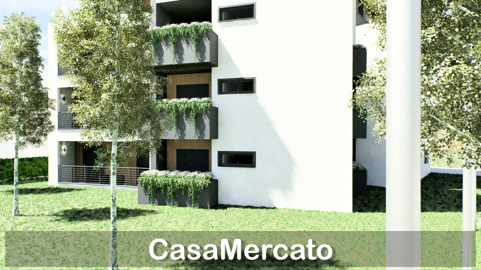 Foto annuncio 12