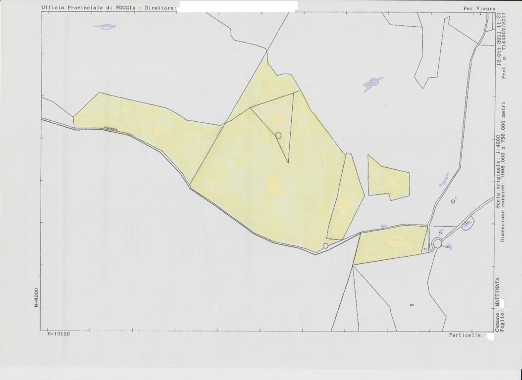 Immagine 23 di Terreno agricolo in vendita  a Mattinata