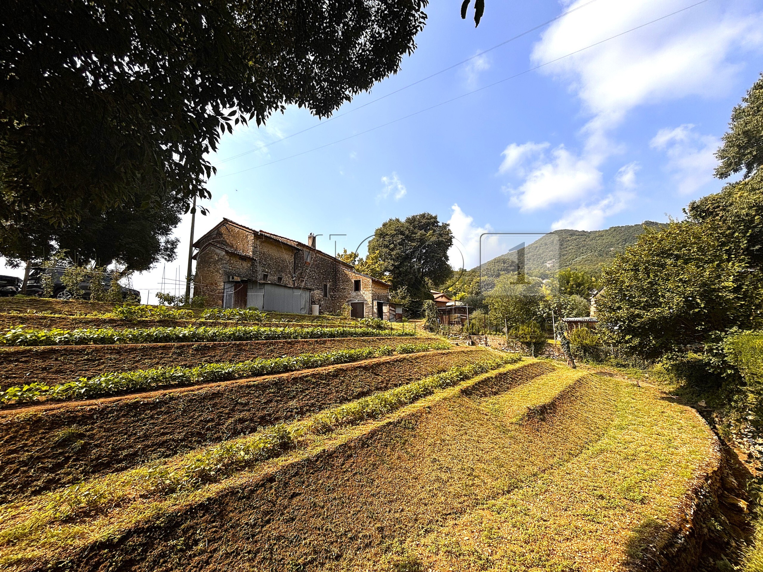Immagine 5 di Rustico / casale in vendita  in VIA CALBIN 9 a Barbarano Mossano