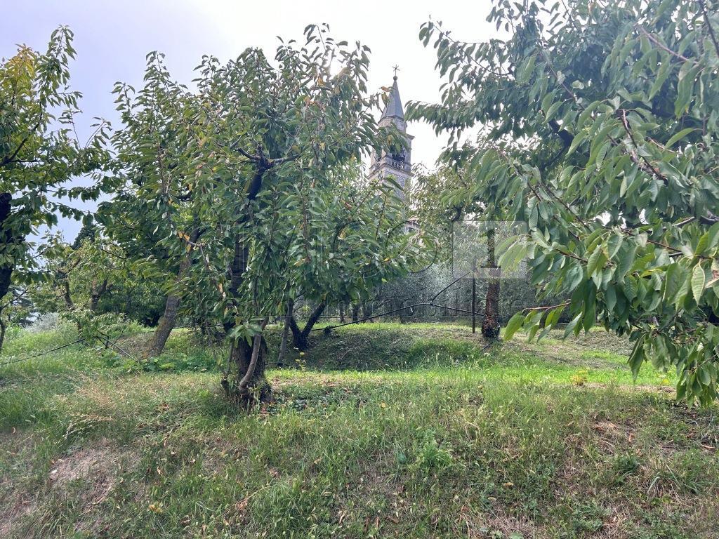 Foto annuncio 6