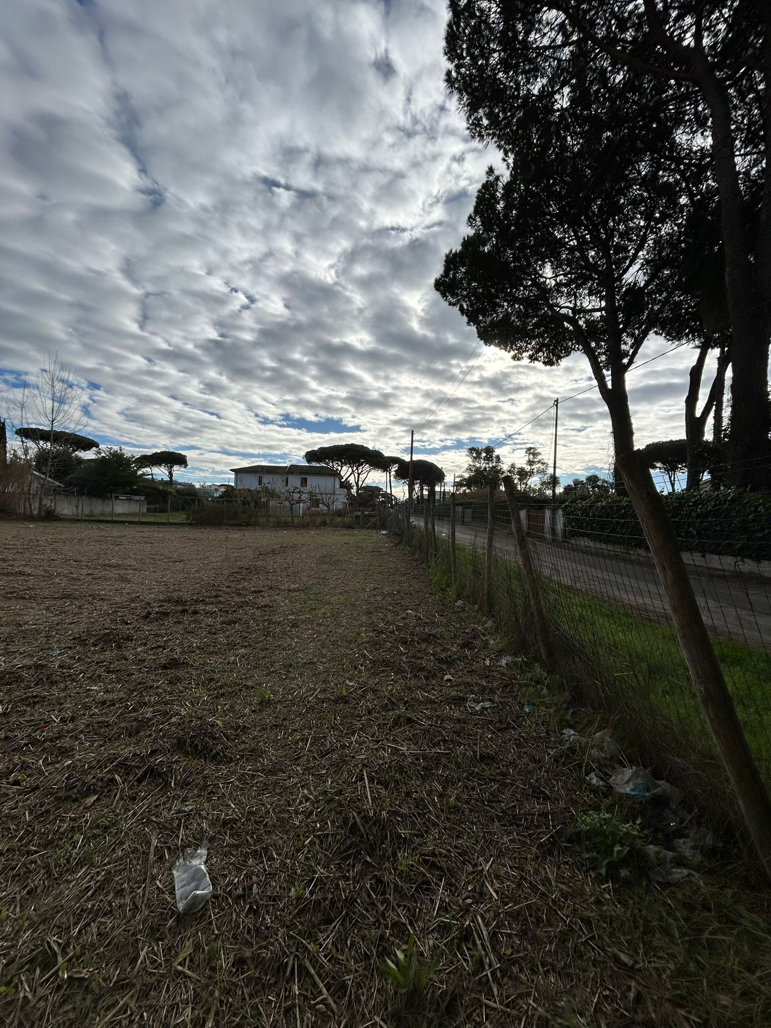 Foto annuncio 12