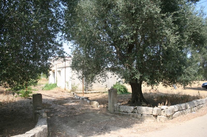 Immagine 2 di Terreno agricolo in vendita  in contrada mandrò a Cutrofiano