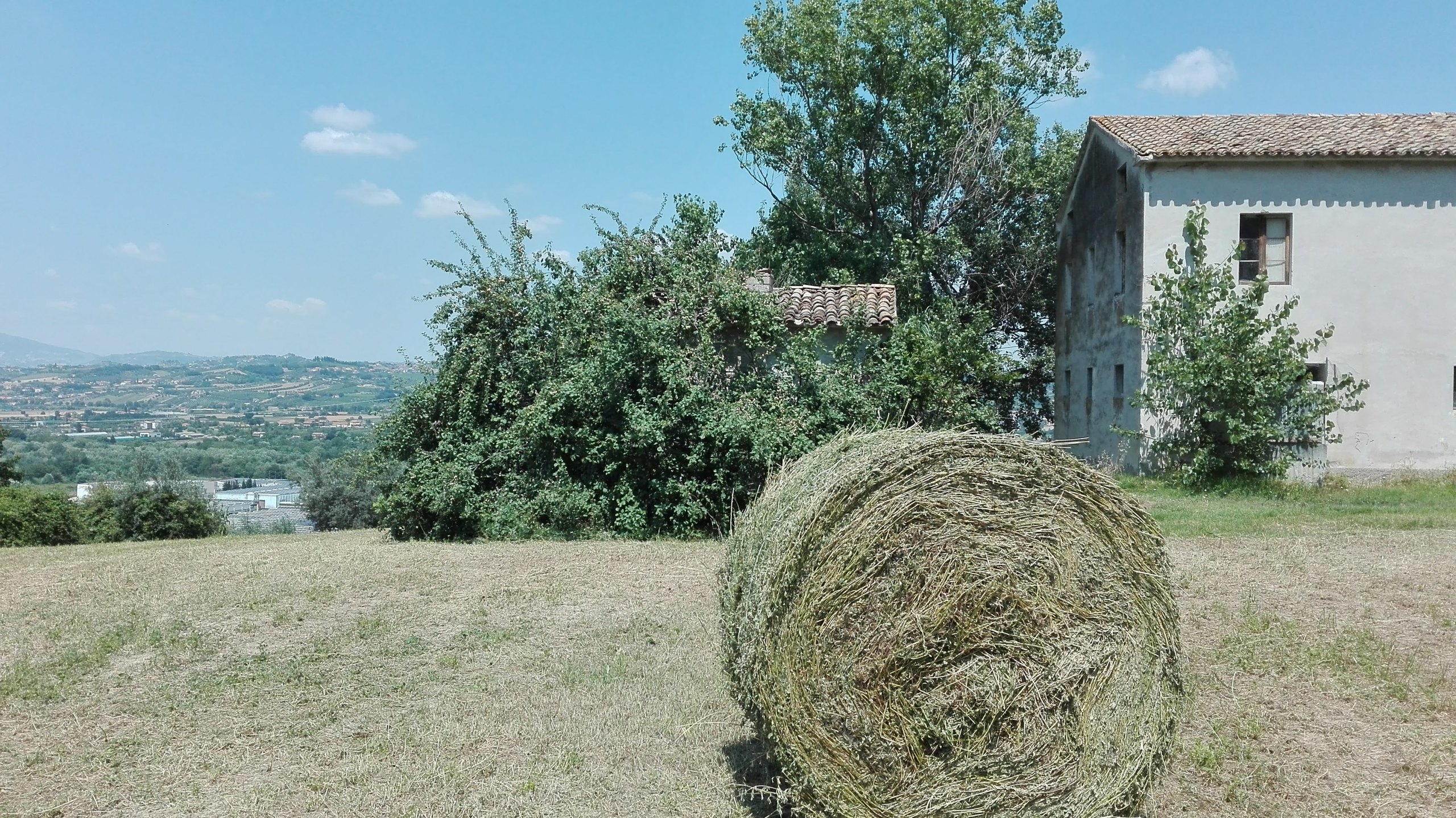 Immagine 14 di Casa indipendente in vendita  a Controguerra