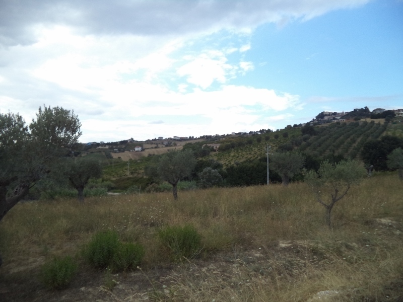 Immagine 17 di Casa indipendente in vendita  a Colonnella