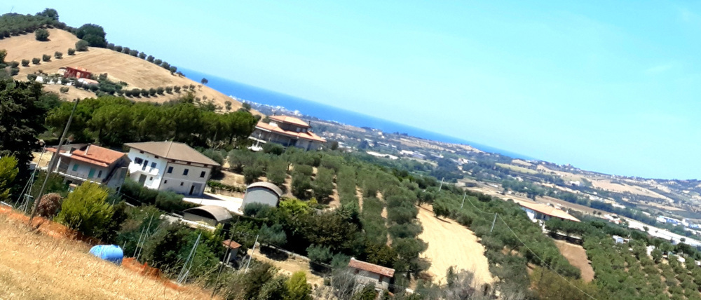 Immagine 2 di Casa indipendente in vendita  a Tortoreto