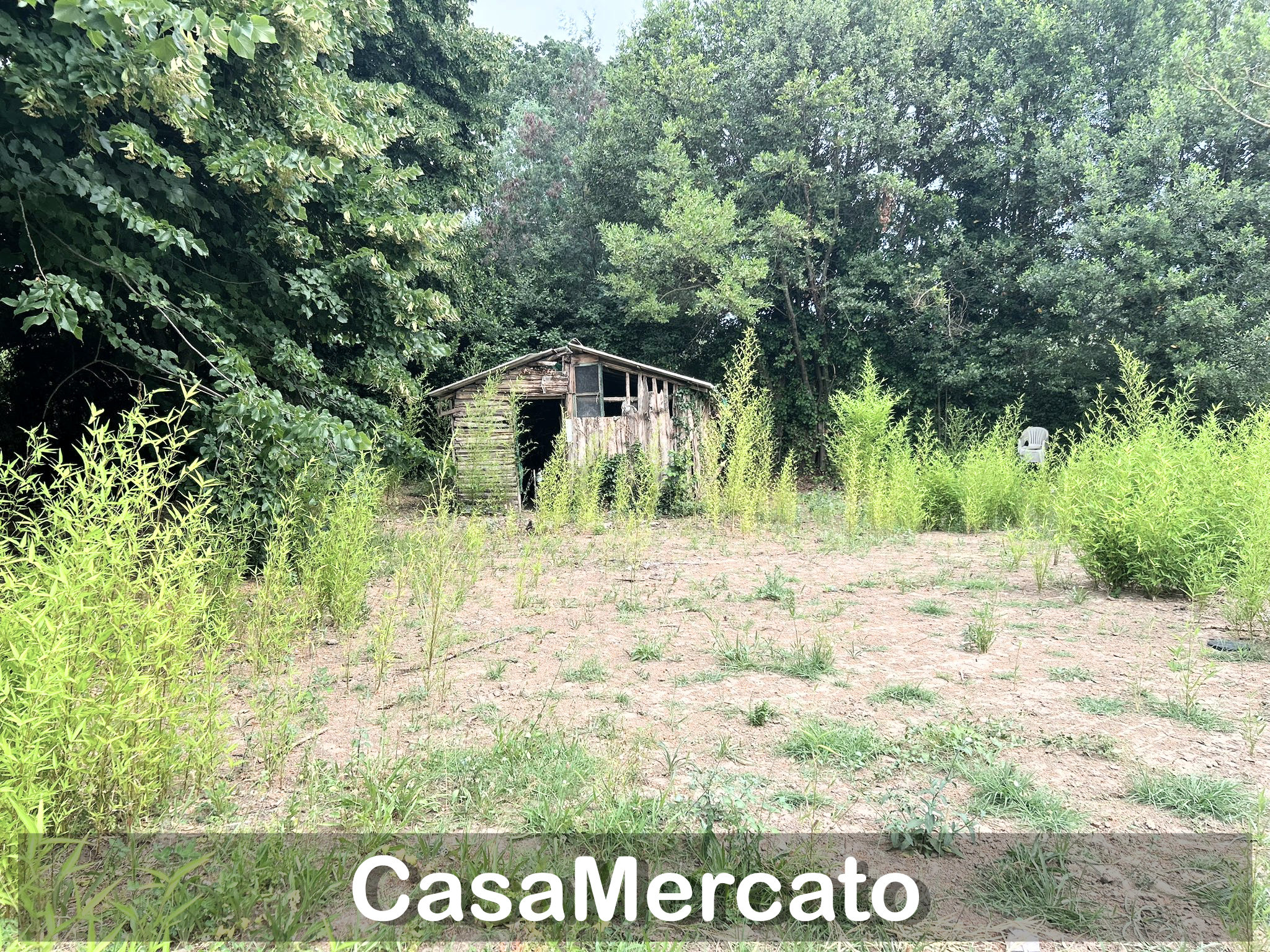 Foto annuncio 1