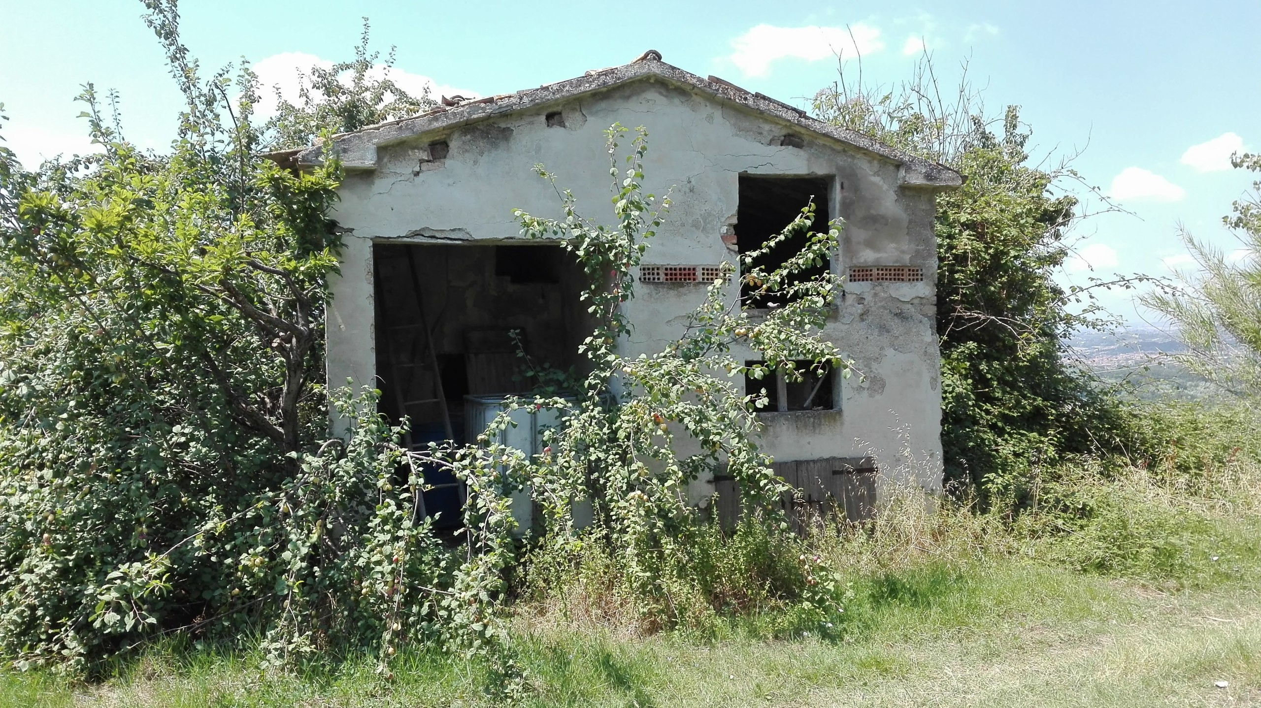 Immagine 5 di Casa indipendente in vendita  a Controguerra