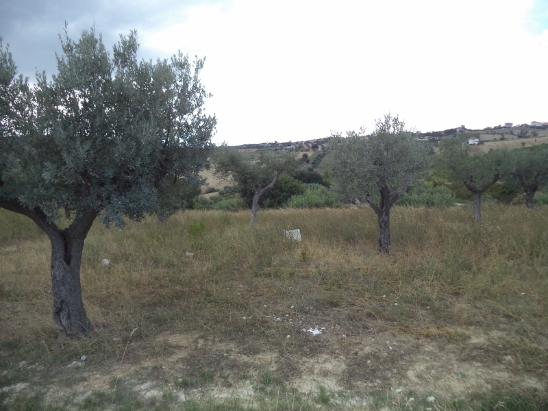 Immagine 18 di Casa indipendente in vendita  a Colonnella