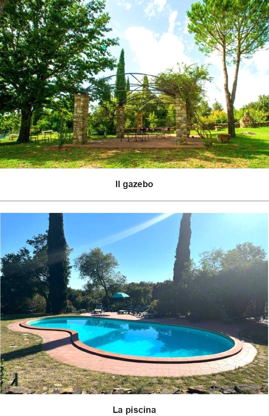 Immagine 4 di Casa vacanze in vendita  a Monterotondo Marittimo